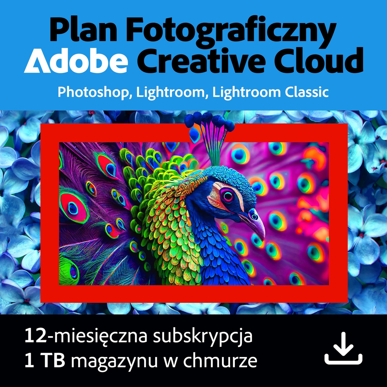 Программа Adobe Creative Cloud Photography Plan 1 год Код активации, фото 1