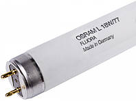 Лампа люминесцентная Osram L18W/77 G13 Fluora