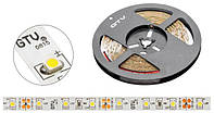 LED лента Flash GTV LD-3528-300-20