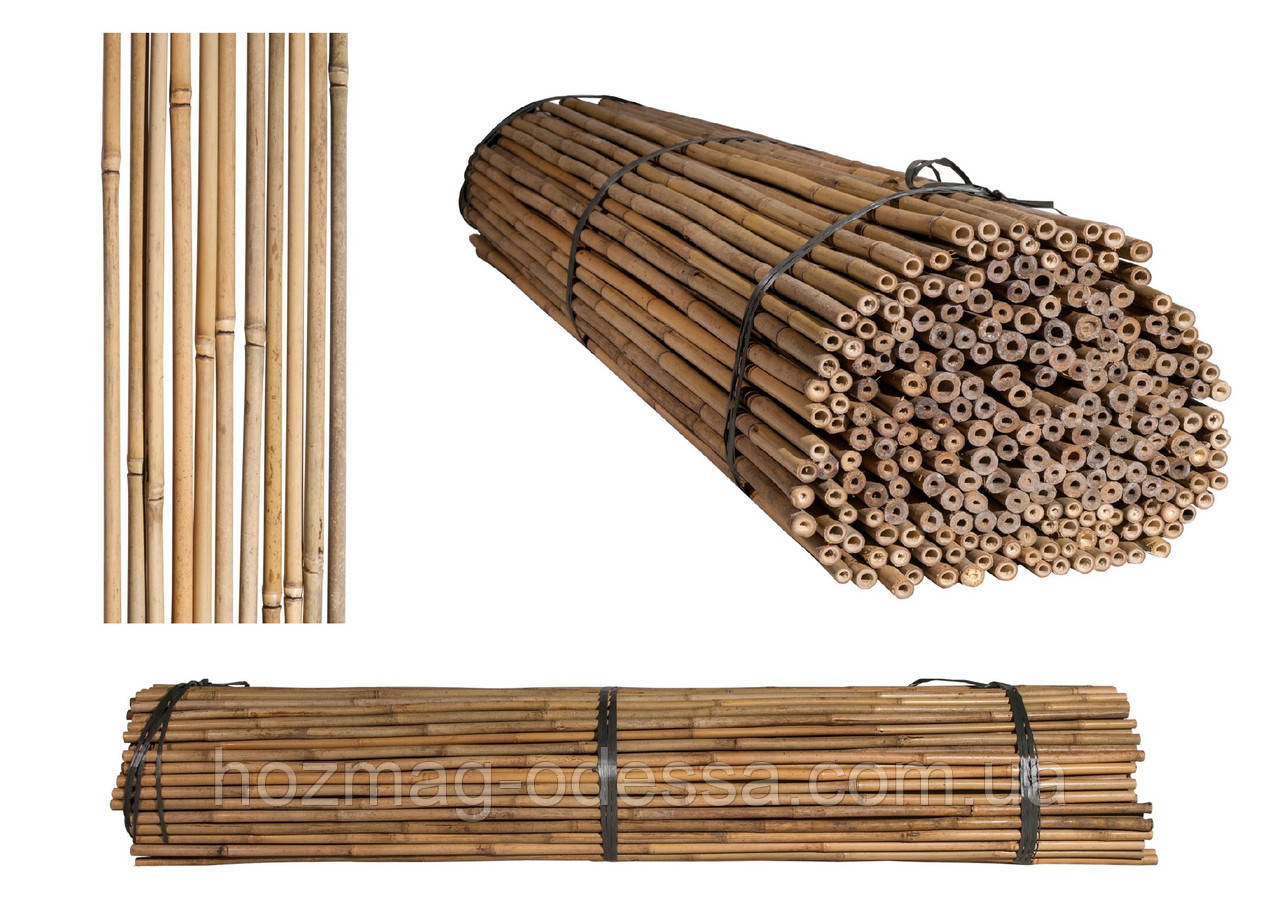 Бамбуковий стовбур, опора діам.10-12мм, L-1,05м