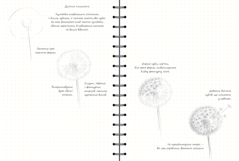 Скетчбук уроки малювання Малюємо квіти покроково експрес курс Sketchbook Око (укр) - фото 4 - id-p667157090