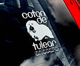 Котон де Тулеар стикер, фото 2