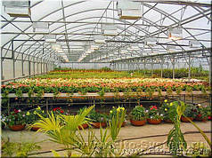 Профіль для вирощування квітів, лоток для теплиць