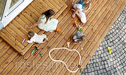 Термососна з Фінляндії