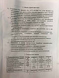Газогарячий пристрій Фенікс печений EUROSIT/TVG, фото 7
