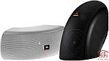 JBL Control CRV акустична система дизайнерська сферична колонка, фото 4