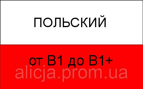 Польська мова від В1 до В1+.