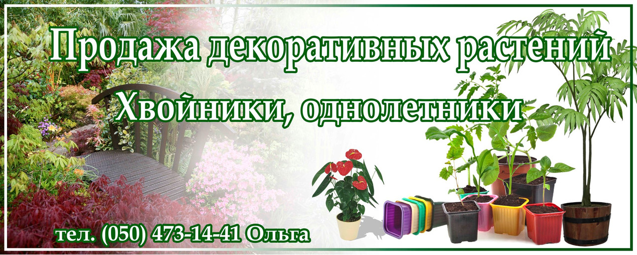 Рекламний баннер рослини