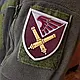 Патч / шеврон ВСУ 148 отдельный гаубичный самоходно-артиллерийский дивизион - фото 3 - id-p3122513747