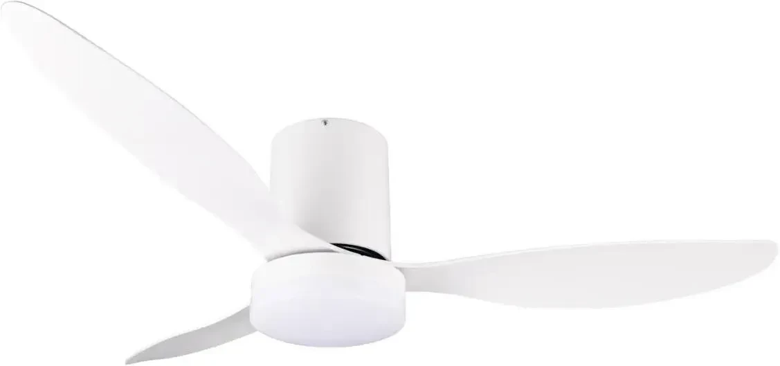 Потолочний ламповентилятор Rl Light Göteborg LED 20W 2700-6000K білий R64202131, фото 1