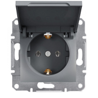 Розетка з кришкою і заземленням Schneider Electric Asfora Сталь EPH3100162