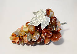 Виноград декоративний. Агат (М) 16 см.