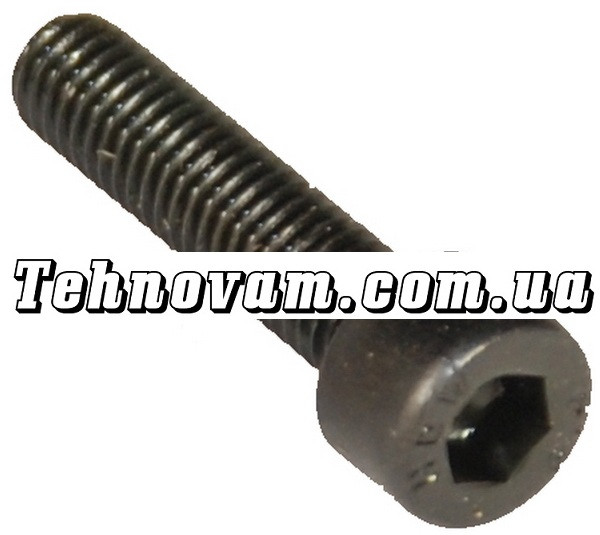 Гвинт М5 20 мм для бензопили Goodluck 4500, фото 1