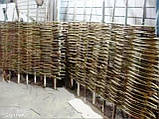 Плетений (плетінь) паркан із лози, фото 4