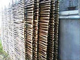 Плетінь тин лоза Забори, огорожі, огорожі в Україні, фото 3