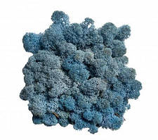 Лавандовый. Скандинавський Мох Ягель Стабілізований 0,500 kg