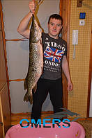 Спорядження: Гідрокостюм Marlin Ласти Tigullio Пневмат Cyrano Evo Рукавички Marlin Шкарпетки Marlin Кукан Голка з тросом