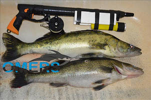 Спорядження: Гідрокостюм Marlin Ласти Tigullio Пневмат Cyrano Evo Рукавички Marlin Шкарпетки Marlin Кукан Голка з тросом