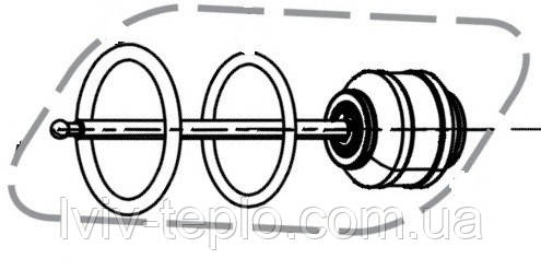0020097222 Шток Protherm, фото 1