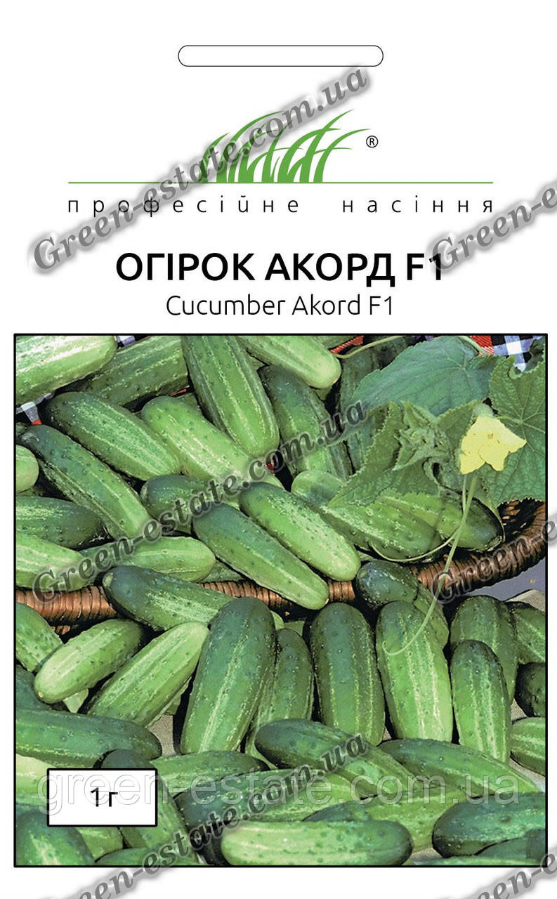 Огірок Акорд F1 20 шт