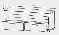 Тумба ТВ 1200 Британія, фото 3