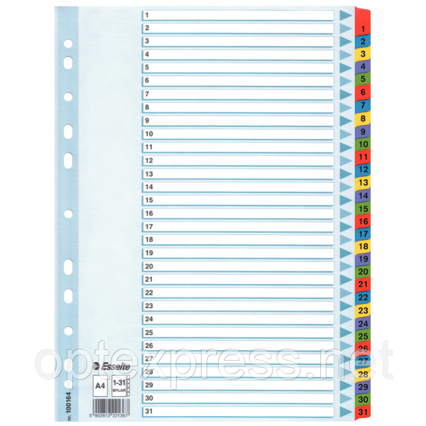 Картонные разделители Mylar A4 Esselte, белый 1-31