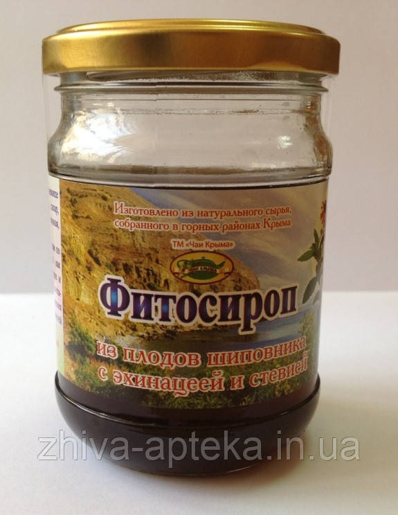 Фітосироп з плодів шипшини з ехінацеєю та стевією 200мл, фото 1
