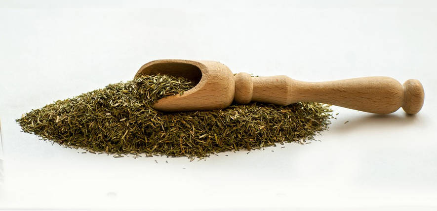 Кріп зелень, фото 1