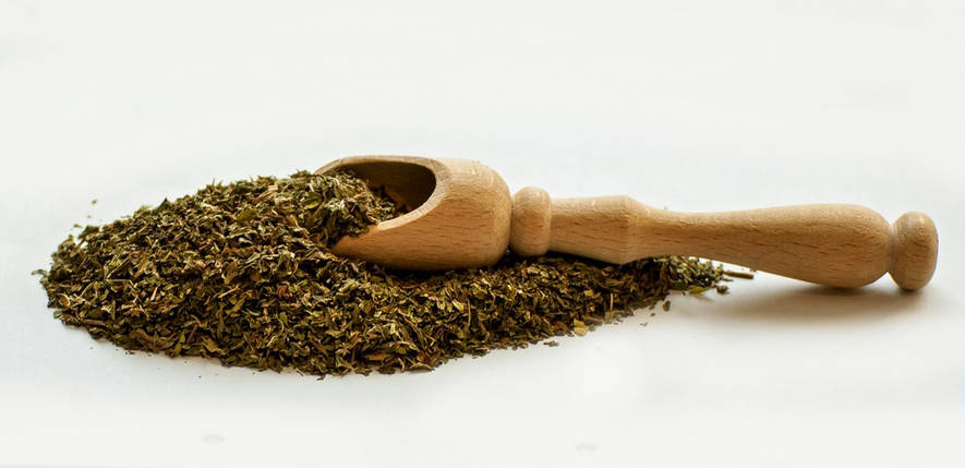 Мята, фото 1