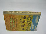Вітров І. Південна паралельність (б/у)., фото 2