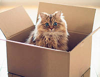 АКЦІЯ У ЗВ'ЯЗКУ З ПЕРЕЇЗДОМ!