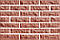 Облицювальна цегла червона LAND BRICK скеля 250х100х65 мм, фото 3