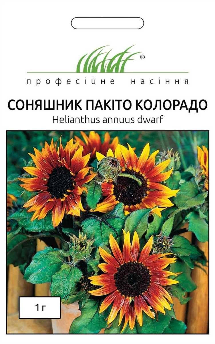 

Семена цветов Подсолнух Пакито колорадо 1г Hem Zaden 1236251