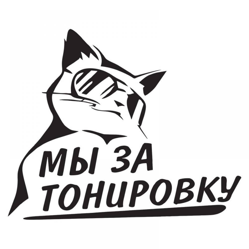 

Наклейка на авто Мы за тонировку 30 см