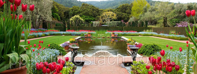 Облаштування дачної ділянки садовими доріжками