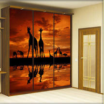 Друк на плівці Oracal, фото 5