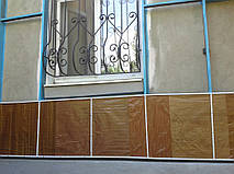 Самый модный и популярный сейчас вариант — фотообои дерево на плёнку, имитирующие натуральный срез дерева или доски (на глаз они практически не отличаются от настоящей древесины). 