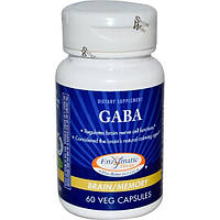 Enzymatic Therapy, GABA, мозок/пам'ять, 60 рослинних капсул