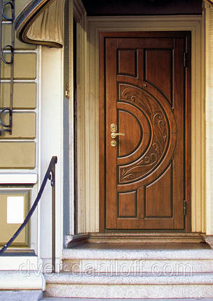 Броньовані двері з патиною ціна, фото 2