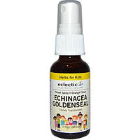 Eclectic Institute, Kids Echinacea Goldenseal Throat Spray, Alcohol Free, Orange 1 oz