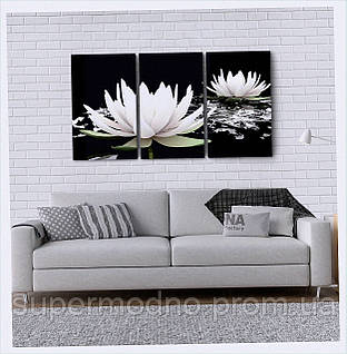 Poster-land картина 3-в-1 Білий Лотос на чорному P650318X4T