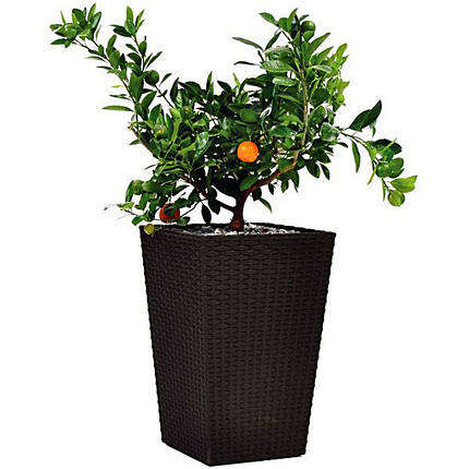 Горщик для квітів Keter Large Rattan Planter 145 л., фото 1