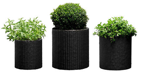 Набір горщиків для квітів Keter Cylinder Planter Set, сірий, фото 1