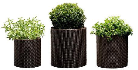 Набір горщиків для квітів Keter Cylinder Planter Set, коричневий, фото 1