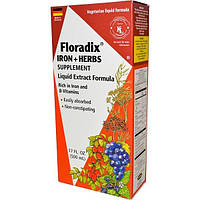 Flora, Флорадикс, залізо + трави, рідкий екстракт, 17 рідких унцій (500 мл)