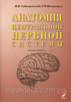Гайворонський І.В., Ничипорук Г.І. Анатомія центральної нервової системи 2021 р.
