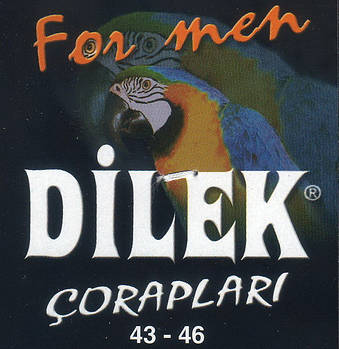 DILEK - чоловічі з сіткою