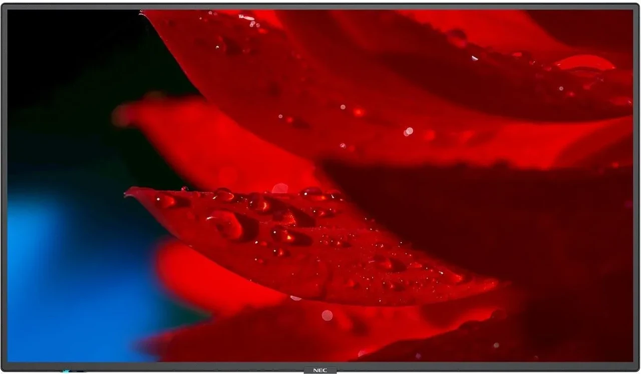 Монитор NEC MultiSync P495, фото 1
