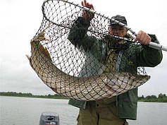 Садки, підсаки