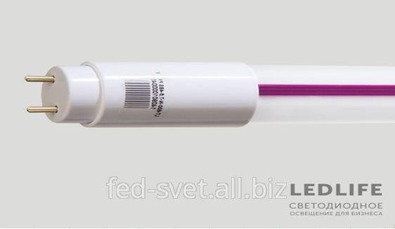 Лінійна світлодіодна лампа Ledlife T8 серії РС 1500